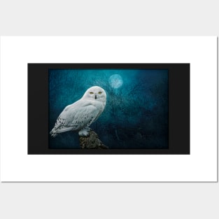 Night Owl Posters and Art